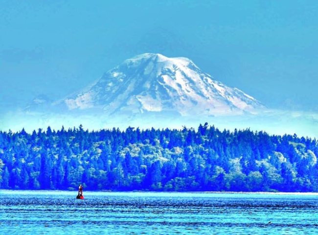 Have you ever fished in the shadow of Mount Rainer?
Awesome pic by our endorsed partner Fly Navarro. Book a Fly Zone fishing adventure at Fin & Field.

#FlyZone | #Fishing | #Adventure | #FinandField