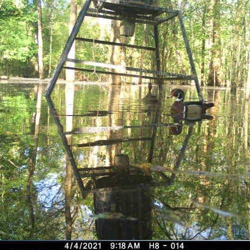 The water got pretty high. #redblufflodge