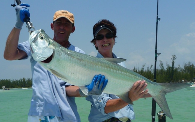 Welcome Everglades Guide Service! Capt. Mark Ward has been guiding and fishing south Florida for over 25 years! Fishing the estuaries and mangrove jungles of the SW #Florida backcountry is a great experience that shouldn’t be missed. #Snook, #redfish, #tarpon, #trout, #pompano and #sharks are a few of the species that can be caught. #Fishing #FL #FinandField