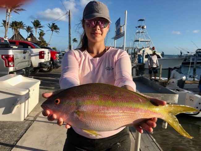 Fishing is good right now with 5 STAR Sportfishing Charters (http://bit.ly/2pe2U4S), lots of options offshore and on the reef!