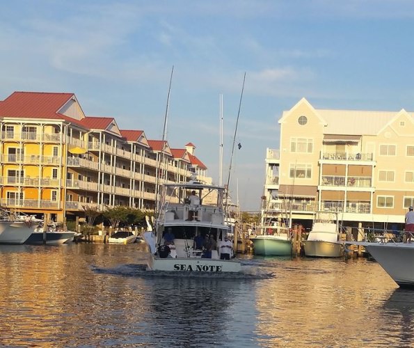 #WMO | #FinandField | #OCMD | #Fishing | #Marlin