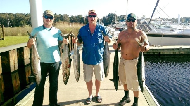 Great day thanks to captain Austin of the Kat-cha later caught over 20 king in half a day