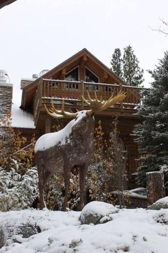 Say hello to my little moose! No really, how long would you stay at this great place? #Outdoors #Adventure #TripleCreekRanch #FinandField