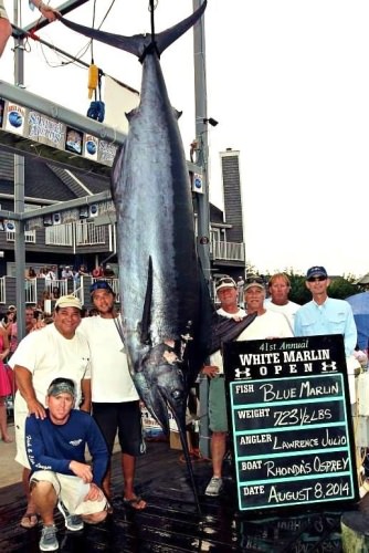 Rhonda Osprey. www.finandfield.com/destinations/charter-fishing-in-ocean-city