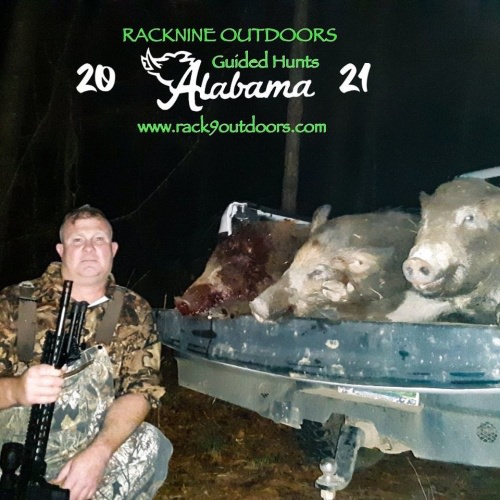 BIG CONGRATS to Dee on his 3 boars 🐗 from Racknine Alabama!!! #hoghunting #alabamahoghunting #racknineoutdoors