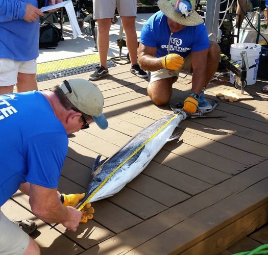 Day 1 of 2018 WMO was action packed!
Who will #MakePapaProud and measure up on Day 1 of the 2019 White Marlin Open on August 5th? #WMO #OceanCity #OCMD #FinandField