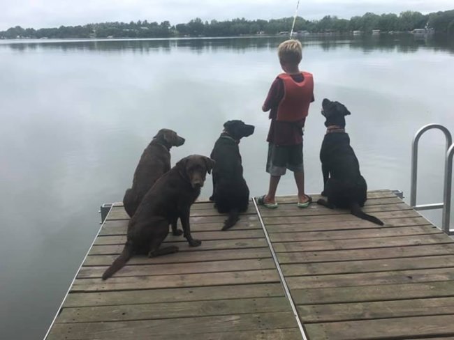 Just a boy and his best friends until he gets a bite, then everyone joins in on the fun! Priceless!