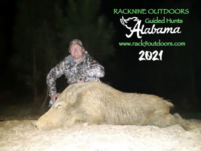 Big Congrats to Pierre on his 160lb boar at Racknine Alabama!! #hoghunting #alabamahoghunting #racknineoutdoors