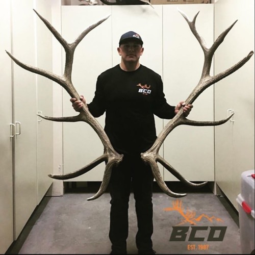 With sheds like these....

Big Chino Guide Service, LLC. (http://bit.ly/2nrJvhm) wants to see what you find this year...you might win a prize!
