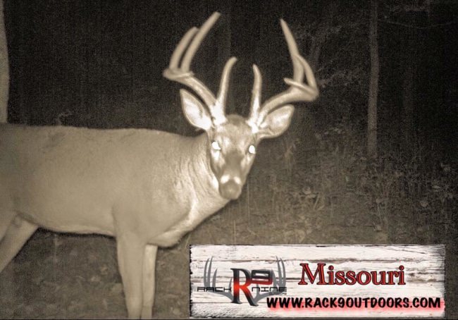 Browning Trail Cameras
Watson Airlock

If you're into hunting HUGE white tails and would like to do some fair chase hunting in Missouri...... Then Racknine Outdoors is the place for you. It's as simple as call Terry Garrett and set up your dates and then throw all your gear into your Watson Airlock bag including your trail cam from Browning Trail Cameras and be ready for the hunt of a lifetime!
