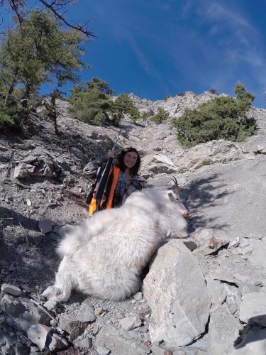 15 year old Ava got her mountain goat. 300 yard uphill shoot in the Crazy Mountains. #Hunting #Adventure #Goat #FinandField
