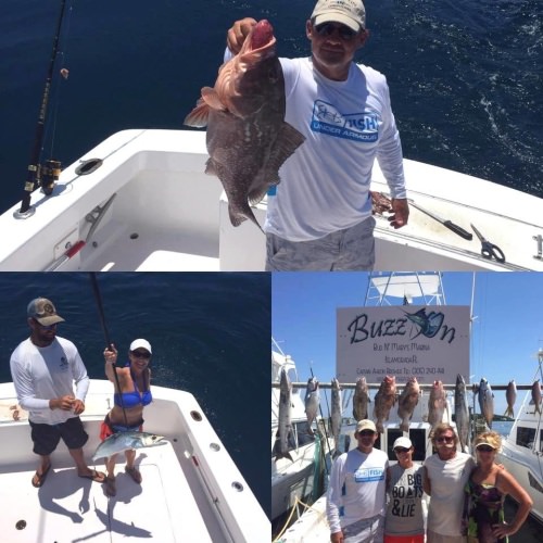 Fun time fishing on Brower Fishing Charters on the Buzz On. Book you Buzz On fishing adventure at www.finandfield.com. #Fishing #Florida #BuzzOn #FinandField