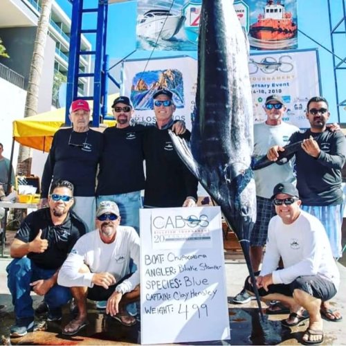 499# Blue at Los Cabos Billfish Tournament. #Fishing #Blue #FinandField