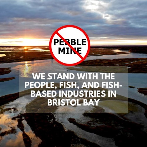 Today, over 250 hunting, fishing and outdoor businesses and organizations from across the country sent President Donald J. Trump a letter calling on him to deny the key federal permit for the proposed Pebble mine.

Read the letter and messages from industry leaders here: http://www.savebristolbay.org/…/businesses-call-on-president