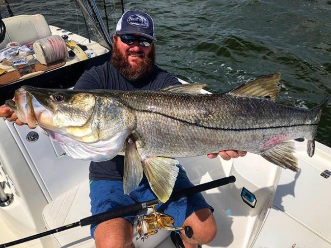 Capt.George Gozdz put this angler on a #snookasaurus. #WOW #Fishing #Adventure #FinandField