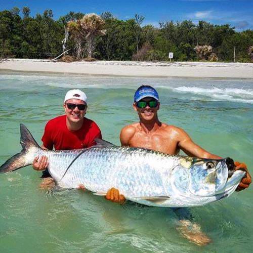 What do you think of Tyler's Tampa Bay Tarpon? #Fishing #Tarpon #TampaBay #Florida #FinandField