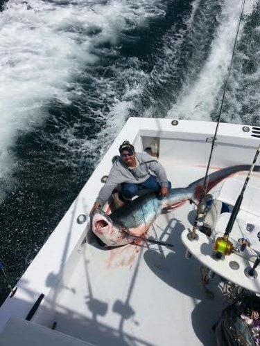 Restless Lady Charters out of Ocean City, Maryland with nice shark. Open dates are available 888-476-7961! #Shark #Fishing #OC #MD #FinandField