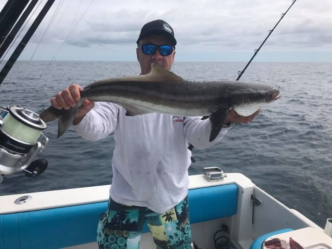 Slob City Charters (http://bit.ly/2q6vBoB) is enjoying nonstop action! Here are just a few photos of their catches....

BlacktipH | #Endorsed | #BlacktipHAdventureSeries