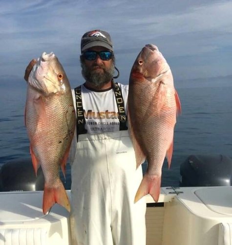 Monster Mutton from 5 Star Sportfishing Charters. If you want to get in on the action, then call Capt. Brandon at 877-258-4316 and tell Fin & Field sent you.

#Fishing | #Florida | #5Star | #FinandField | #BookATrip
