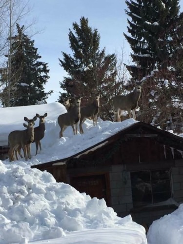 Up on the rooftop... Click click click!!
#racknine