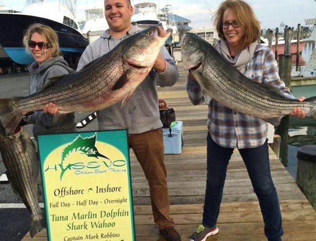 It won't be long now! Rockfish will be running and Husevo Offshore Sport Fishing is booking trips. Visit their Fin & Field profile to book your fishing adventure - http://bit.ly/2kUnFnm - or Call Capt. Mark at 855-978-1934

#Rockfish | #Fishing | #OceanCity | #Husevo | #FinandField