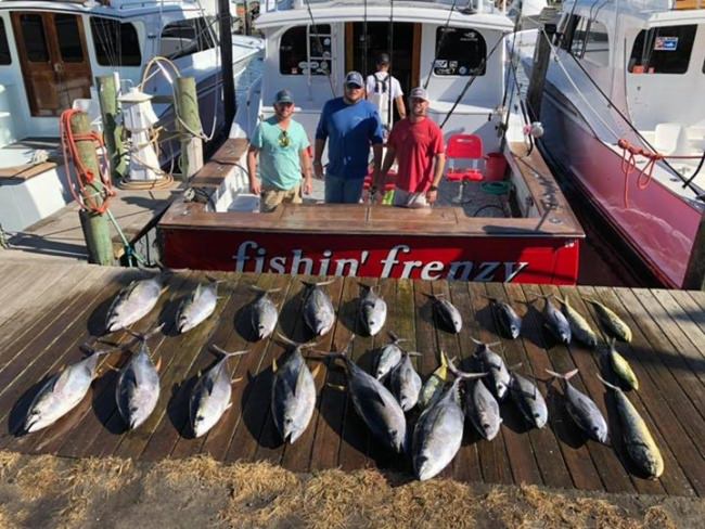Who’s ready for some fall tuna action?