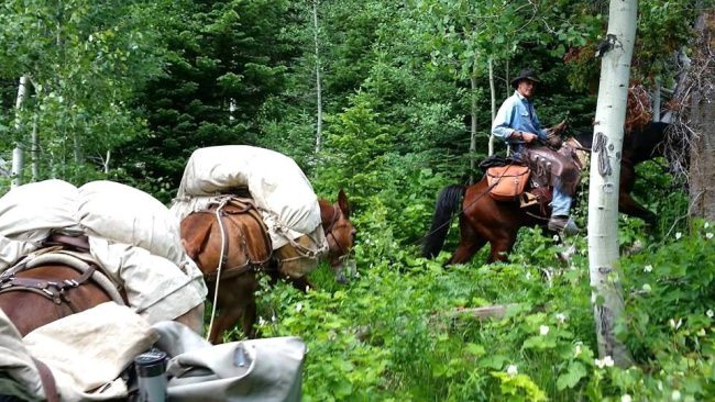 Disconnect and get outside! Find Your Next Adventure at www.finandfield.com. #Hunting #Fishing #Outdoors #FinandField