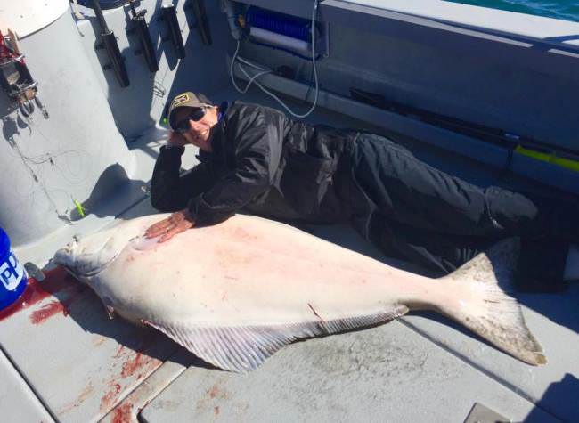 How heavy do you think this beast was? #Fishing #Halibut #FinandField #Alaska