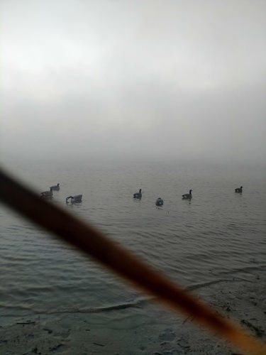 Foggy morning in the office.