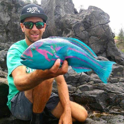 Wow! What amazing colors. #MotherNature #Fishing #FinandField