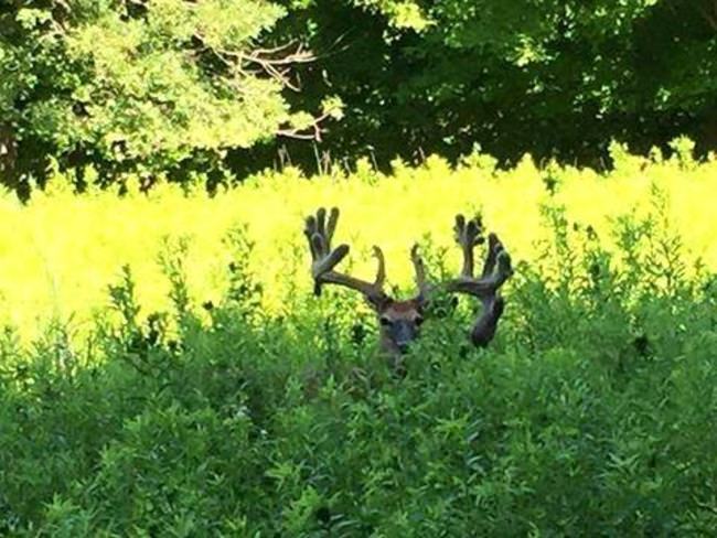 Good Morning! #BookAHunt #FindYourNextAdventure #FinandField