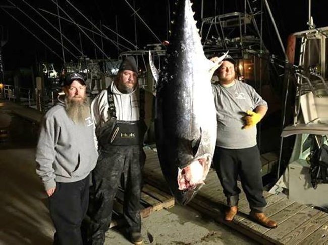 Go big or go home! Looks like Capt. Dale Lisi, Will Hathaway and Ed TheBeard from Foolish Pleasures Big Game Fishing put some meat on the deck in OBX! Who do you think will win this season?

#WickedTunaOBX | #NatGeo | #Fishing | #OBX | #Adventure | #FinandField | #FoolishPleasures | #OC