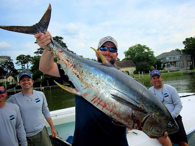The 14th annual Virginia Beach Tuna Tournament is June 20-23.
Sign up to fish or join the fun at the dock.

#Fishing | #VBTT | #Tuna | #VA | #FinandField