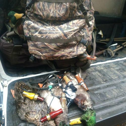 Got out and got some Mallards this morning in the storm.