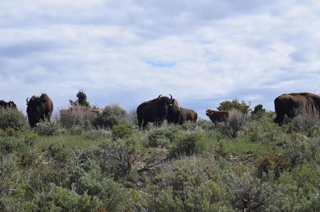 Spring time on the Books.