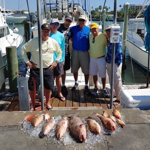 Red groupers and lane snappers #reeldealsportfishing #reeldeal #sportfishing #fishing #fish #saltaddict #florida #floridafishing #clearwaterbeach #clearwater #instagood #picoftheday #teamreeldeal #imonaboat #bottomfishing #grouperfishing #grouper