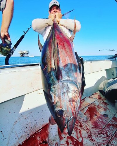 Winter in Louisiana means tuna, big tuna! Gives us an Idea or two when someone asks "what do you want for Christmas?" Whatever brings you to the gulf, Louisiana Tuna Charters is the top notch Endorsed Partner you are looking for. 

You have one more week to enter and win a $5000 booking credit in the Book with the Best Giveaway (http://bit.ly/2xgc1I2) on Fin & Field to be used with any of the 1st class businesses in the Endorsed Partner Program, plan your dream adventure!

Till Death Do Us Part | Daniel Lee Martin | Julie Mcqueen | #TillDeathAdventureSeries | Papa's Pilar | #PapaWouldBeProudAdventureSeries | #NeverASpectator | Fly Navarro | #FlyZoneAdventureSeries | BlacktipH | #FishWithTheBest | #HuntWithTheBest