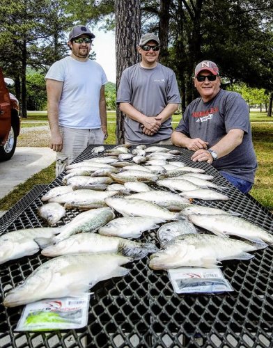 Jason, Perry and Bret catching 62 crappie out of lake Eufaula. Fish are doing so many different things they are shallow and some still have not moved up yet lake is still coming up. So I think that's why they are holding out in 6 to 7 feet. Its been a interesting year to say the least #lakeforktackle. Get bit!!!!!