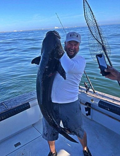 60# Cobia on morning trip for Fired Up Fishing Charters. Book your Fired Up fishing adventure today. #Fishing #FiredUp #FinandField