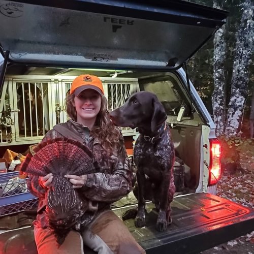 Darcy got this grouse today in the rain saw 20 grouse and 5 woodcock. #ruffgrouse #rgs #grousehunting #grousedogs #gundog #maineguide #upland