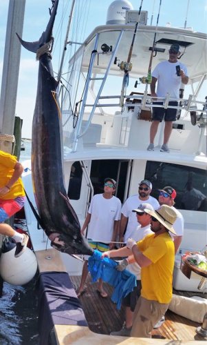 Huk Big Fish Classic Jake Hiles