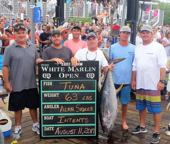 This was Intents 2nd tuna of the week. 1st one took 1st place at 68.5. #WMO | #FinandField | #OCMD | #PapaWouldBeProud | #Adventure | #Fishing | #Titos | #VentureByAmerican | #MRDucks | #RestlessLady | #Intents | #SillyMoney | #WireNut