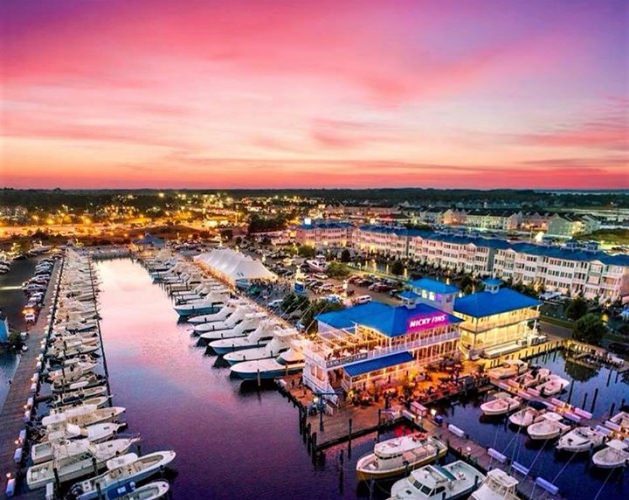 Ocean City Tuna Tournament kicks off Friday! Plenty of fish, great food, vendors and fun all weekend. Stop in Micky Fins Bar & Grill & Ocean City Fishing Center for live scale action 4-8:30 pm Fri & Sat then 4-7 pm Sunday. #OCTT #OCFC #MickyFins #Tuna #OceanCity #FinandField