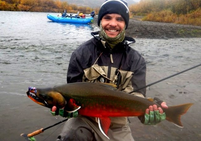 We have fall trips available targeting Rainbows, Dollies and Silvers Oh My!   www.akrainbow.com