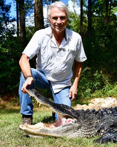 Mr. Derrel had a great time harvesting this 10’6”, 300# beast. #redblufflodge #scalligatorhunting  @ Red Bluff Lodge