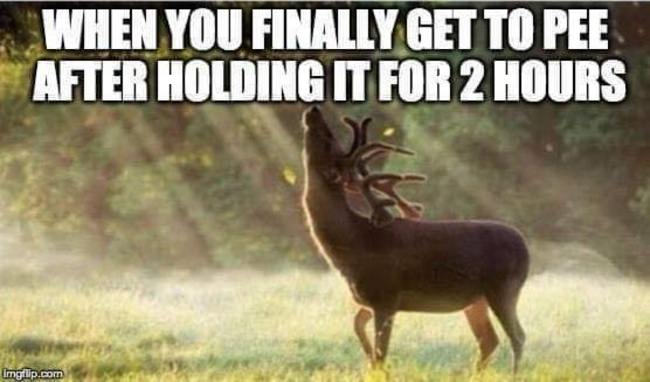 Hump day pause that refreshes