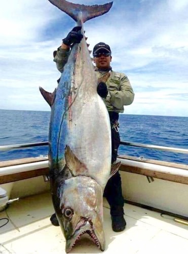 Doesn't this Dogtooth Tuna make you want to book a fishing adventure? Visit www.finandfield.com to plan your next adventure. #BookAnAdventure #DreamBig2016 #MakingMemories #FinandField