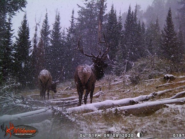 Just a pic from this year that I like.