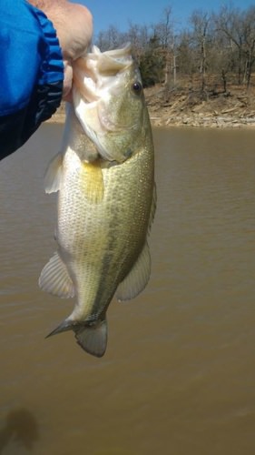 Due to a last min cancellation I took the day off and enjoyed finding some bass on Eufaula for an upcoming tournament next week. Hope they stay put because usually they never do.