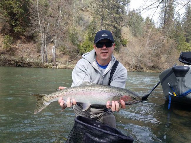 And today was a good day. 
Got chrome on the dome, we sure do.

Time to get out and wet a line.
"Be the report, don't believe the report"

Tight Lines 
Brian 
#norcalflyguides #northerncaliforniaflyfishingguides #northerncaliforniaflyfishingguide #trinityriver #norcalflyfishing #flyfishing #tugisthedrug #steelheadfishing #seewhatsoutthere #tightlines #indiancreeklodge #nrs #proloks #simmsfishing #sage #rioproducts #hardy #lamsonreels #redington #tfo #catchandrelease #findyourwater #repyourwater #keepumwet Fly Fishing Specialties Off the Hook Fly Fishing